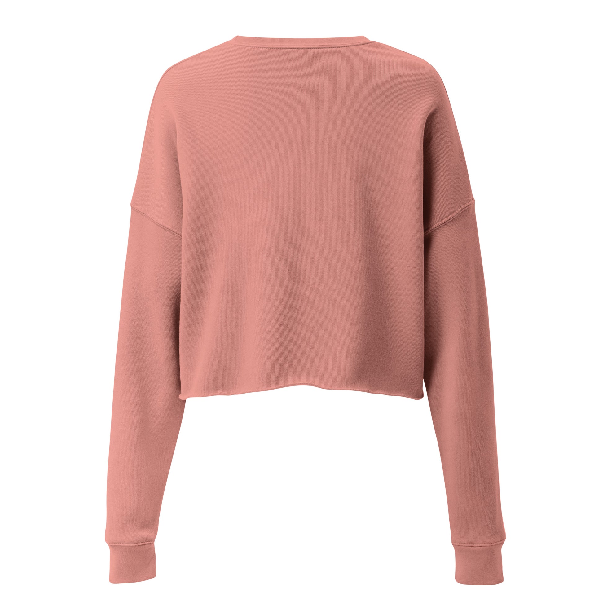 Hidden Truth Women's Crop Sweatshirt - FLAKOUT